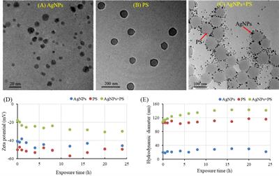 Polystyrene nanoplastics mediated the toxicity of silver nanoparticles in zebrafish embryos